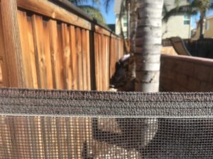 Low Pool Fence Quality with sun rot